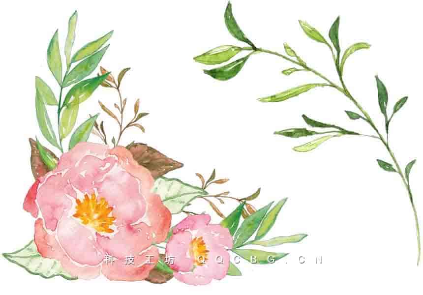 347+唯美森系手绘水彩花朵树叶PNG高清素材
