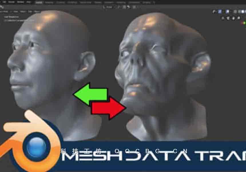 三维模型网格数据转移传送工具 Mesh Data Transfer v2.0.8