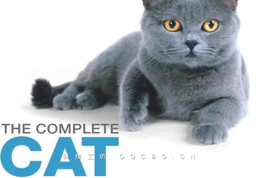 513+The Complete Cat Breed Book DK 猫百科