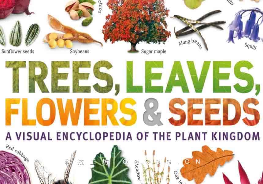 192+Trees, Leaves, Flowers and Seeds树木、叶子、花朵和种子：植物王国视觉百科全书