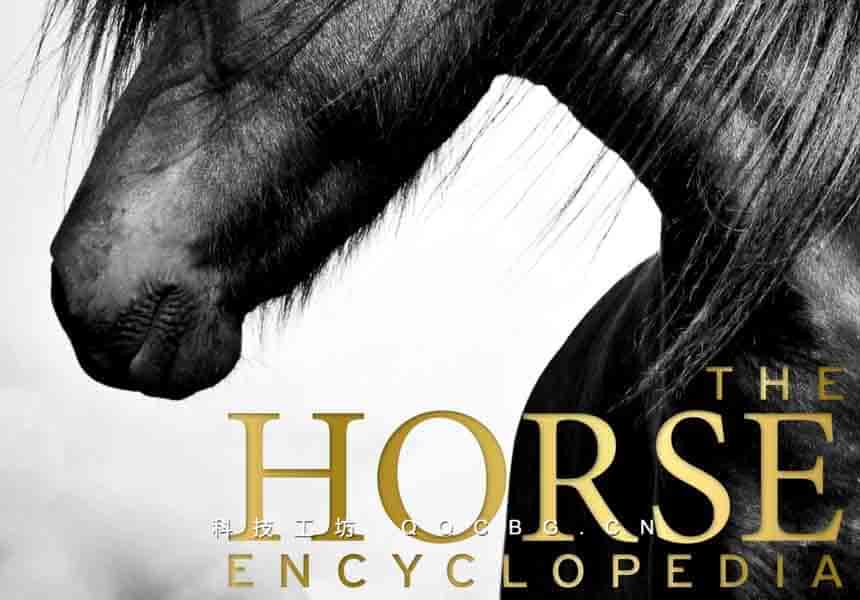 360+The Horse Encyclopedia DK 马百科全书