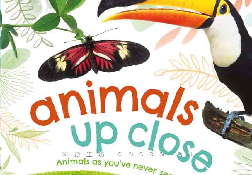 80+Animals Up Close Animals as you've Never Seen them Before 动物近观：你从未见过的动物