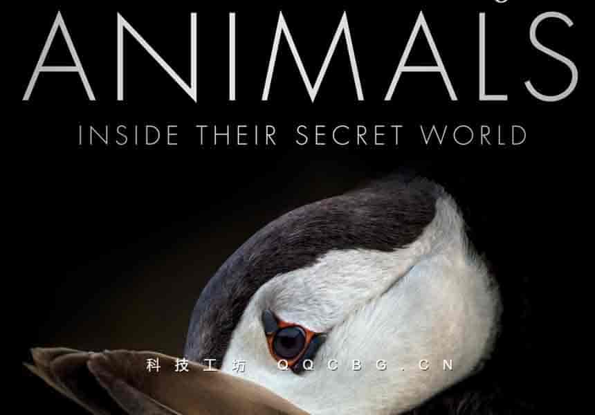 336+The Science of Animals 动物科学