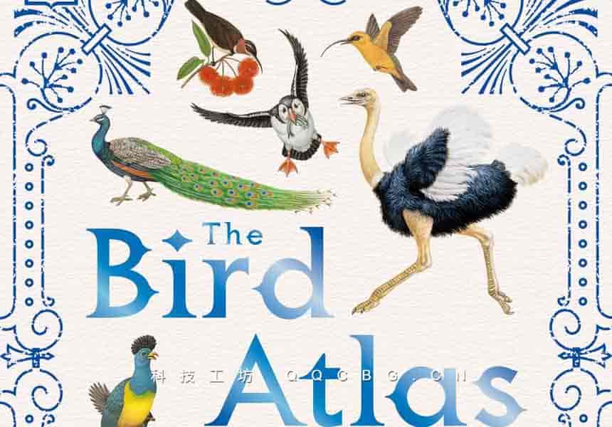 66+TheBirdAtlas 鸟类科普