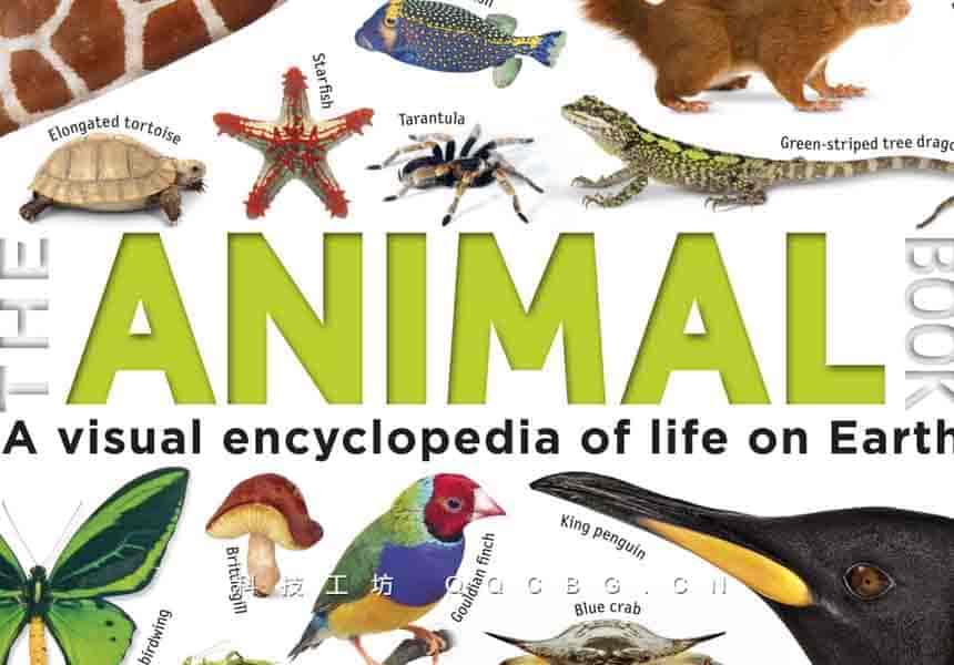 306+The Animal Book 动物百科全书